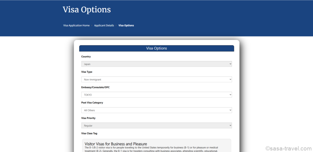 アメリカB1/B2ビザ申請のVisa Options選択画面